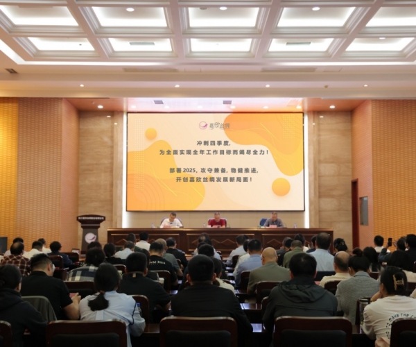 Z6尊龙凯时丝绸2024年三季度经济形势分析会顺利召开